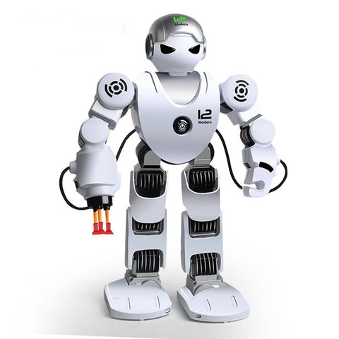 Intelligent Humanoid Robot - roboticsus