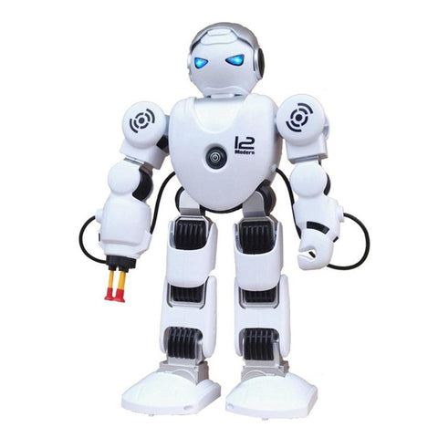 Intelligent Humanoid Robot - roboticsus